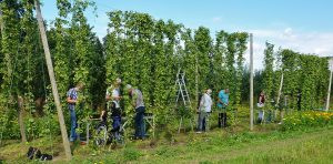nectar-pils-bier-brouwerij-nederland-streekbier-houten-hommeles-foto-01