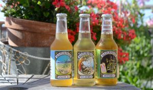 nectar-utrecht-frisdrank-denemarken-naturfrisk-header