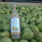 nectar-utrecht-frisdranken-sappen-nederland-biologisch-van-kempen-fruitsappen-sfeer03