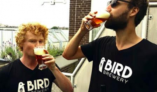 nectar-utrecht-pils-bier-brouwerij-nederland-streekbier-amsterdam-bird-brewery-foto02