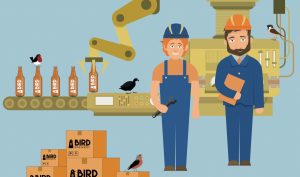 nectar-utrecht-pils-bier-brouwerij-nederland-streekbier-amsterdam-bird-brewery-header
