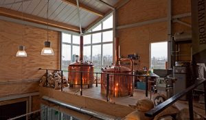 pils-bier-brouwerij-nederland-streekbier-utrecht-maximus-foto-03