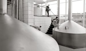 nectar-utrecht-pils-bier-brouwerij-nederland-budel-budels-header