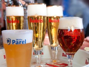 nectar-utrecht-pils-bier-brouwerij-nederland-budel-budels-sfeer-06