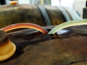 nectar-utrecht-pils-bier-brouwerij-nederland-nationaal-nijmegen-nevel-artisan-ales-sfeer03