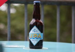 Nieuwsbrief-Nectar-Utrecht-Stapzwan-UPA