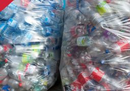Nieuwsbrief-Nectar-Utrecht-Info-PET-Bag-Bags