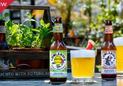 Nieuwsbrief-Nectar-Utrecht-Lowlander-Botanical-Infusions