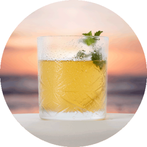 nectar-utrecht-frisdranken-nederland-amsterdam-bims-kombucha-cocktail-02