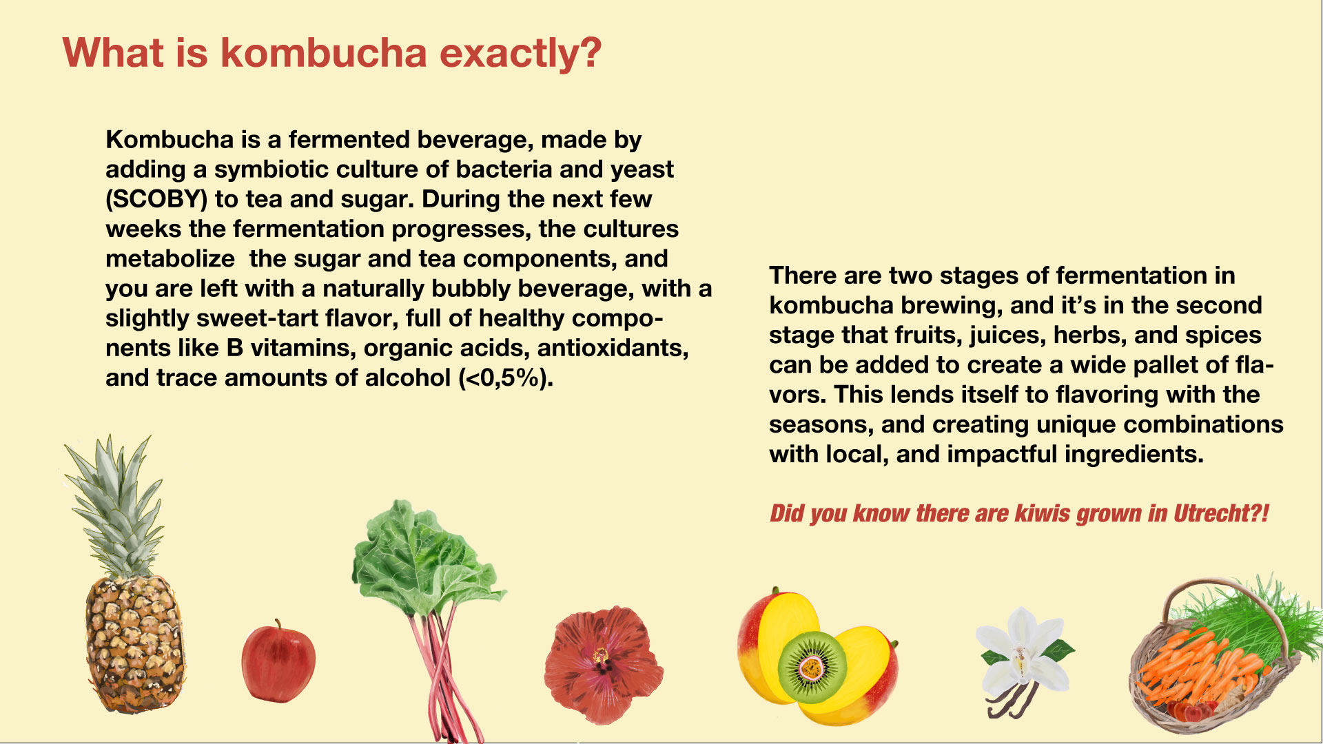 Nectar-product-page--2